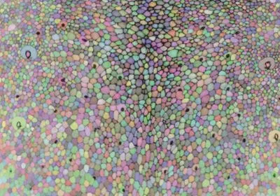 Image of fruit fly epithelial cells (pseudo colored in this micrograph) 